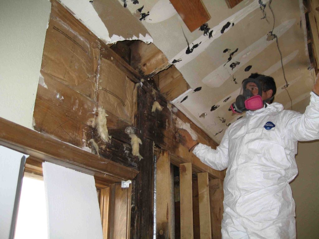 water Damage Restoration GA